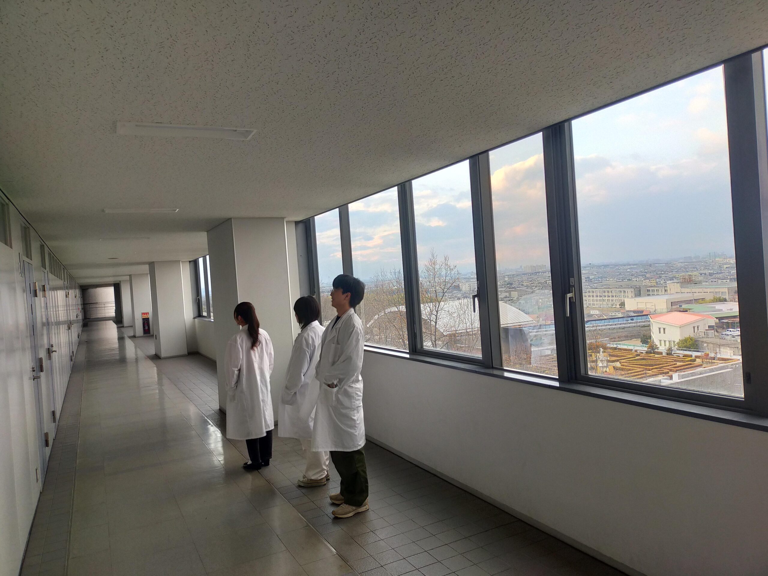 鈴木浩太研究室 Kota Suzuki Lab